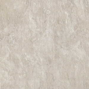 }X^[NXbMaster Links PETAPA\Ă͂郊CNV[gRSP-04 50cmX200cm