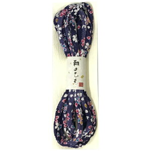 LvebCAPTAIN âЂ ߂FT CP205