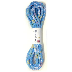 LvebCAPTAIN âЂ ߂FT CP205