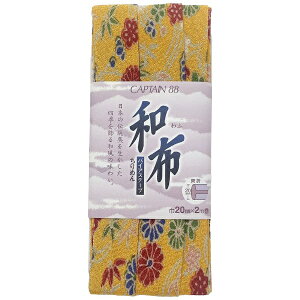 LvebCAPTAIN azi߂oCAXe[vj  CP72