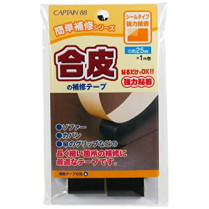 LvebCAPTAIN ̕Ce[v  CP211