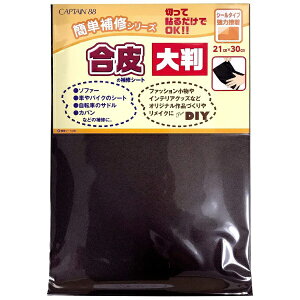 LvebCAPTAIN ̕CV[g唻 RQ CP226