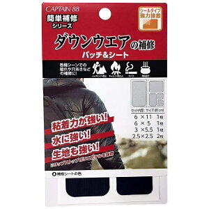 LvebCAPTAIN _EEGA̕Cpb`V[g lCr[ CP228