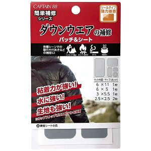 LvebCAPTAIN _EEGA̕Cpb`V[g CgO[ CP228