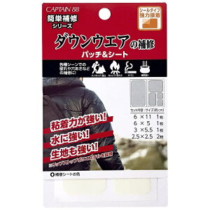 LvebCAPTAIN _EEGA̕Cpb`V[g ItzCg CP228