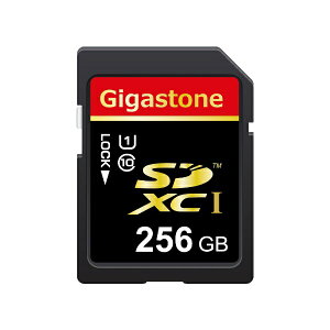 GigastonebMKXg[ SDJ[hC10NX/256GB GJSX/256U [Class10 /256GB]