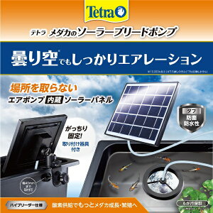 XyNguYWpbSpectrum Brands Japan Tetraiegj_J̃\[[u[h|v