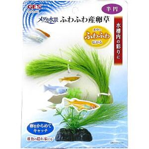 WFbNXbGEX _Ji ӂӂY ~