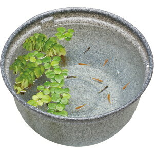 WFbNXbGEX _JC _Ĵ߂̎甫 ݂ 370