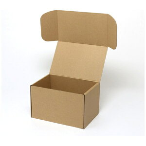 �V���W�}�bSHIMOJIMA HEIKO�@�i�`�������{�b�N�X�@���n�@Z�|13 6201310