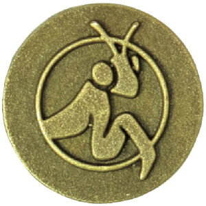 _hrXbDANDORI VIS _hrX@A[gLbv@AeB[N@J}Li12juX^[ C-ARAM04-12