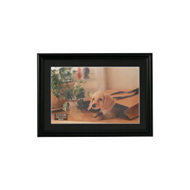 ナカバヤシ｜Nakabayashi 樹脂製写真額 ワイド六ツ切判