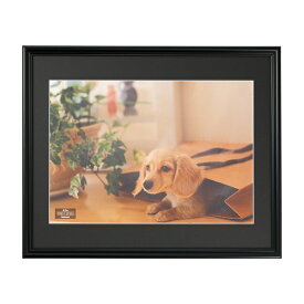 ナカバヤシ｜Nakabayashi 樹脂製写真額 A3判