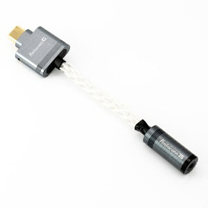 {fBbNXbNIPPON DICS USB Type C  2.5mmWbN ϊP[u Pentaconn C NEH1-21-003