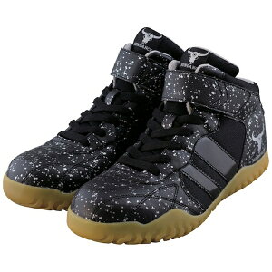 T_XbSUNDANCE T_X@GT|EvoX@~hJbgZ[teB[@ubNVo[@25D5 GT-EVOX-BKSV-25.5