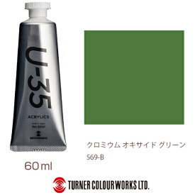ターナー色彩｜TURNER COLOUR ヘビーボディ 60ml U-35 アクリリックス クロミウムオキサイドグリーン UA060569