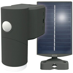 TVbMusashi CebNX@4D5W×1@\[[VvX^CZT[Cg S-CY30