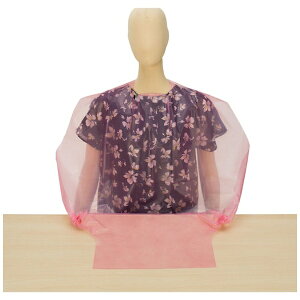 Fs{bUtsunomiya Seisaku VK[@HGvg؂2D5WAYi50jsN LPE0251NSPB