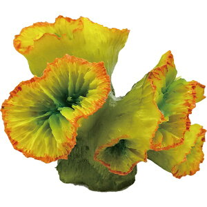 [XCbZENSUI ZEST vJTS S-4 CG[IW