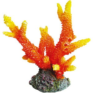 [XCbZENSUI ZEST vJTS M-3 IWCG[