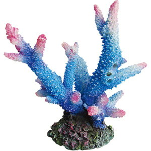 [XCbZENSUI ZEST vJTS M-4 u[sN