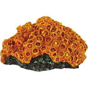 [XCbZENSUI ZEST vJTS S-8 IW