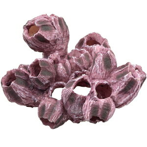 [XCbZENSUI ZEST vJTS M-5 p[vzCg