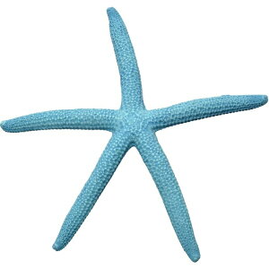 [XCbZENSUI ZEST vJTS M-6 XJCu[