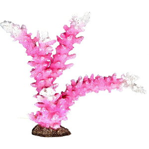 [XCbZENSUI ZEST vJTS M-9 sNzCg