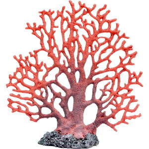 [XCbZENSUI ZEST vJTS L-5 IWbh