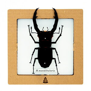 {ONtgbbog craft SQAR t^}^NK^ SQAR