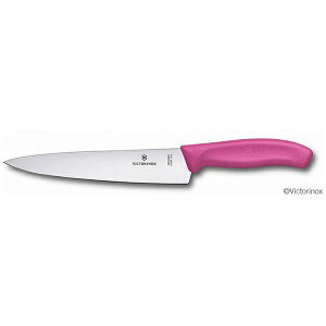 rNgmbNXbVICTORINOX VFtiCti19cmj #6.8006.19L5E sN
