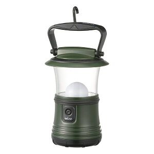 I[d@bOHM ELECTRIC LED^EFECLAT480[ LN-50C7-G [LED /P1dr×3]