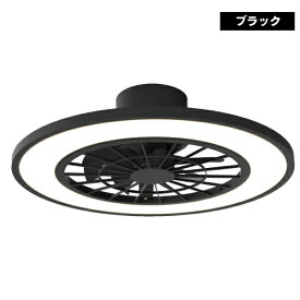 ヒロコーポレーション｜HIRO CORPORATION シーリングファンライト HLCF-550BK [10畳 /リモコン付属]