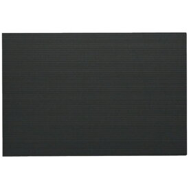 IRIS OHYAMA｜アイリスオーヤマ IRIS 262727 プラダン 450X300X4 ブラック PD434BK