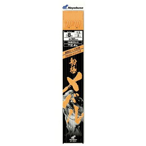 nuTbHayabusa DɃo }30cm]r[Y3{b2Zbg(b10/nX2) SD605-10-2