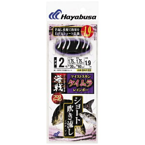 nuTbHayabusa C퐁 cCXgXLPCC{[(b3/nX2.5) SN122-3-2.5