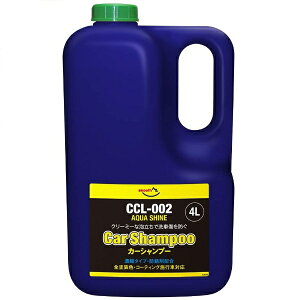 �G�[�[�b�g�bAZ �A�N�A�V���C�� �J�[�V�����v�[ 4L ���^�Ԗ�160�� �Z�k CCL-002