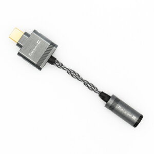 {fBbNXbNIPPON DICS ϊP[u C USB Type C  2.5mmWbN Spada Pentaconn PCC01-C-25