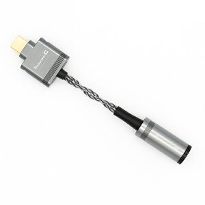 {fBbNXbNIPPON DICS ϊP[u C USB Type C  3.5mmWbN Spada Pentaconn PCC01-C-35
