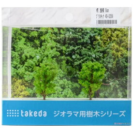 タケダ｜takeda タケダ　桐　浅緑　6cm　プラスチック 40-0256