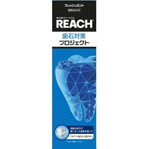 銀座ステファニー|Ginza stefany リーチ 歯石対策 プロジェクト 歯みがき 120g
