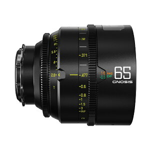 �f�B�[�W�[�I�[�t�B�����bDZOFILM Gnosis Macro 65mm T2.8 /���[�g���\���v���C�������Y�i�n�[�h�P�[�X�t���j