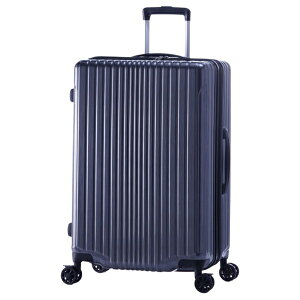 yGg[ōőSz|CgҌb11/5z A.L.IbAWAEQ[W X[cP[X 7`9p FiL Pake K^ubV ALI-6060-24W