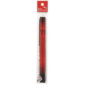 NcbKUTSUWA PUMA ԉM 2{ PM330