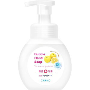 ΌbDAIICHISEKKEN pAnh\[v { 250mL