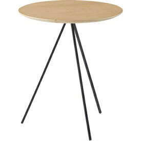 東谷｜AZUMAYA サイドテーブル （W45×D45×H51.5cm） NA