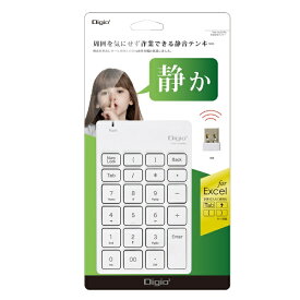 ナカバヤシ｜Nakabayashi テンキー (Windows11対応) ホワイト TNK-SR227NW [ワイヤレス /USB]