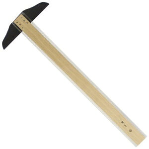 ^P_btakeda T^K Z 600mm(t) 21-0220