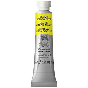 EBU[j[gbWINSOR & NEWTON EBU[j[g@vtFbViWC@5mL@348@CG[fB[v 18801348